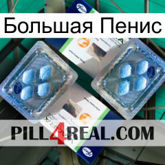 Большая Пенис viagra5